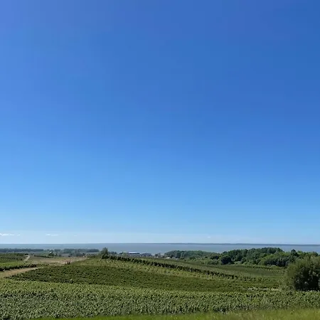 Letniskowe Na Dzikiej * Tolkmicko